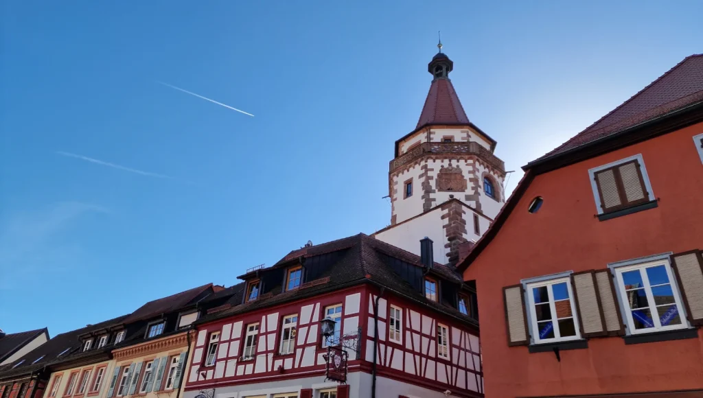 Torre-Niggel-y-museo-de-los-locos