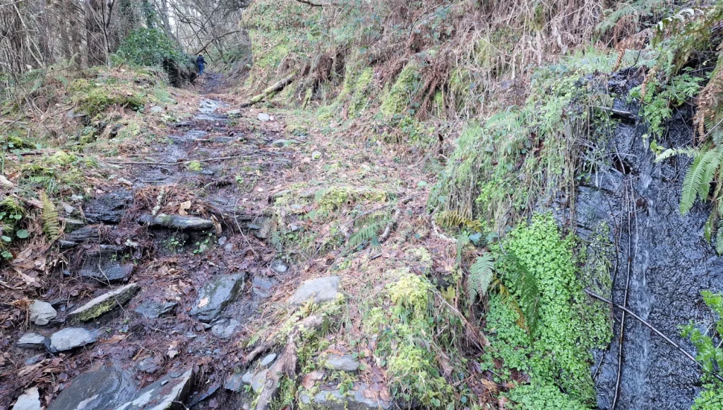 Camino-algo-enfangado-ruta-A-Paicega