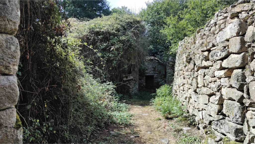 Chamoso-ruta-cañones-del-Sil