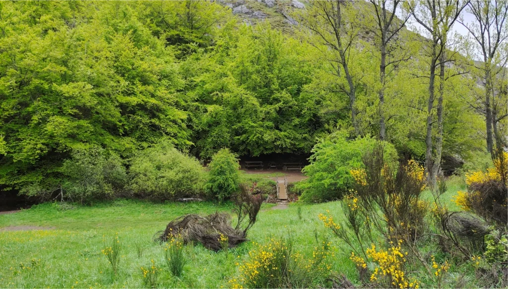 Área-recreativa-Faedo-de-Ciñera