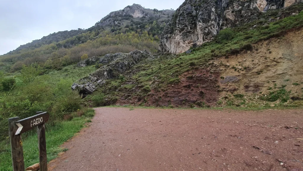 Camino-Faedo-Ciñera