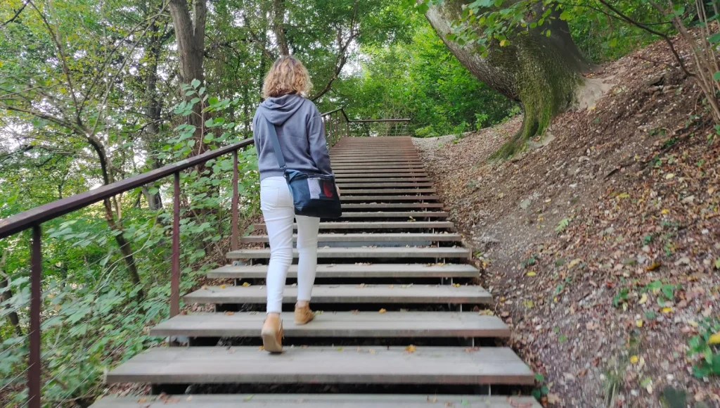 Subida-castillo-Liubliana