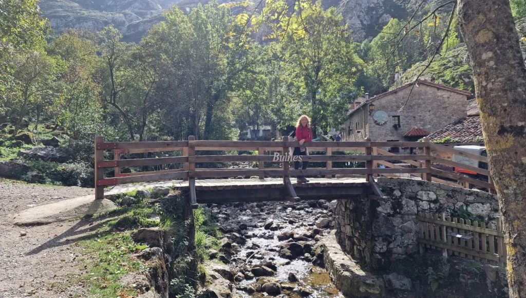 Bulnes