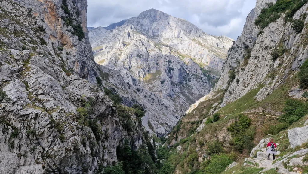Picos-de-Europa