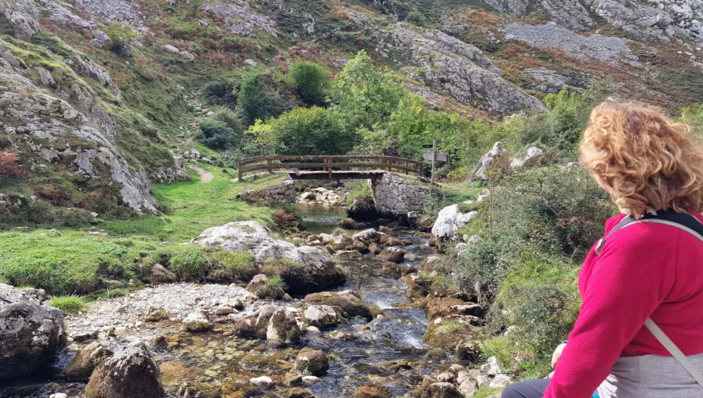 Puente-de-Colines-Canal-del-Texu