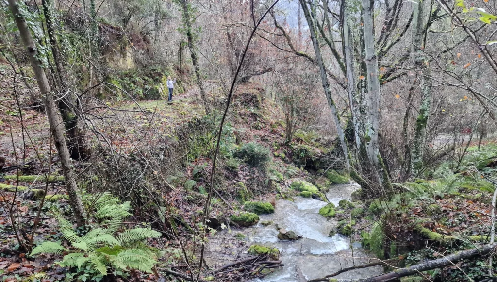 Arroyo-Valmoro-o-Banduxu