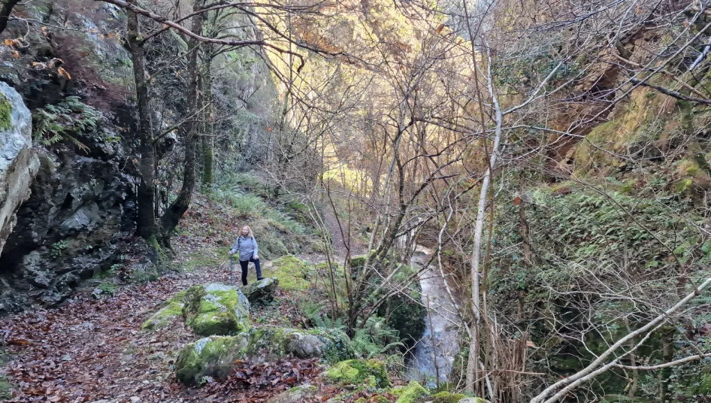 Camino-medieval-Bandujo