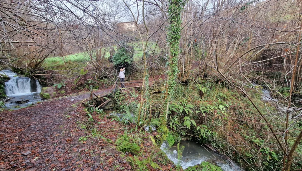 Camino-Medieval-Bandujo
