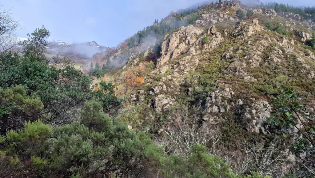 Camino-Medieval-Bandujo