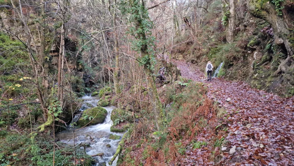 Camino-Medieval-Bandujo