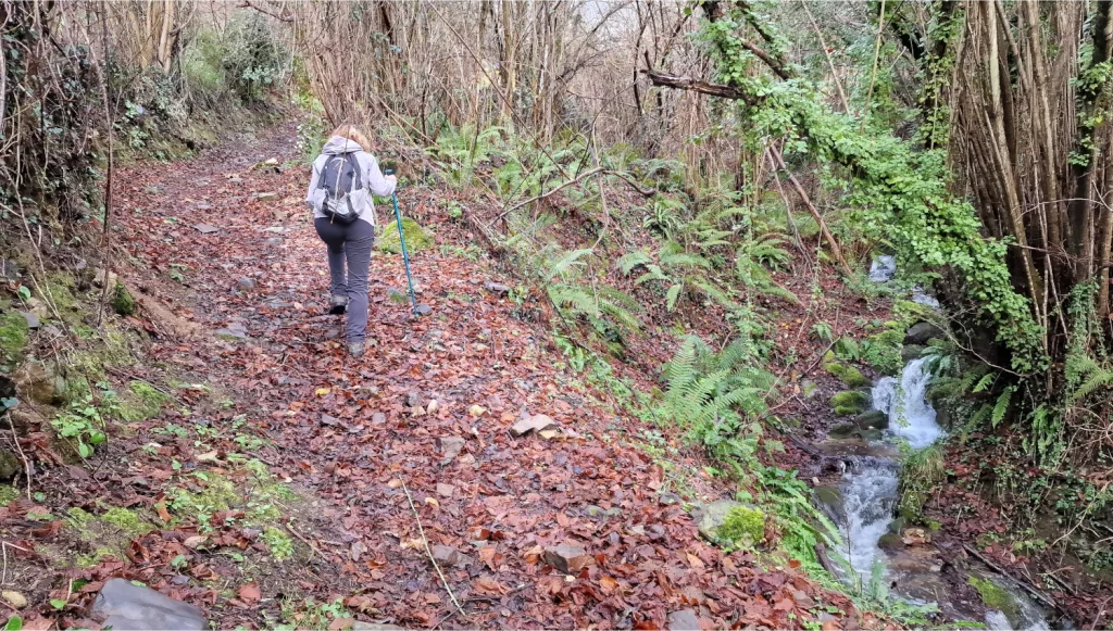 Camino-medieval-Bandujo