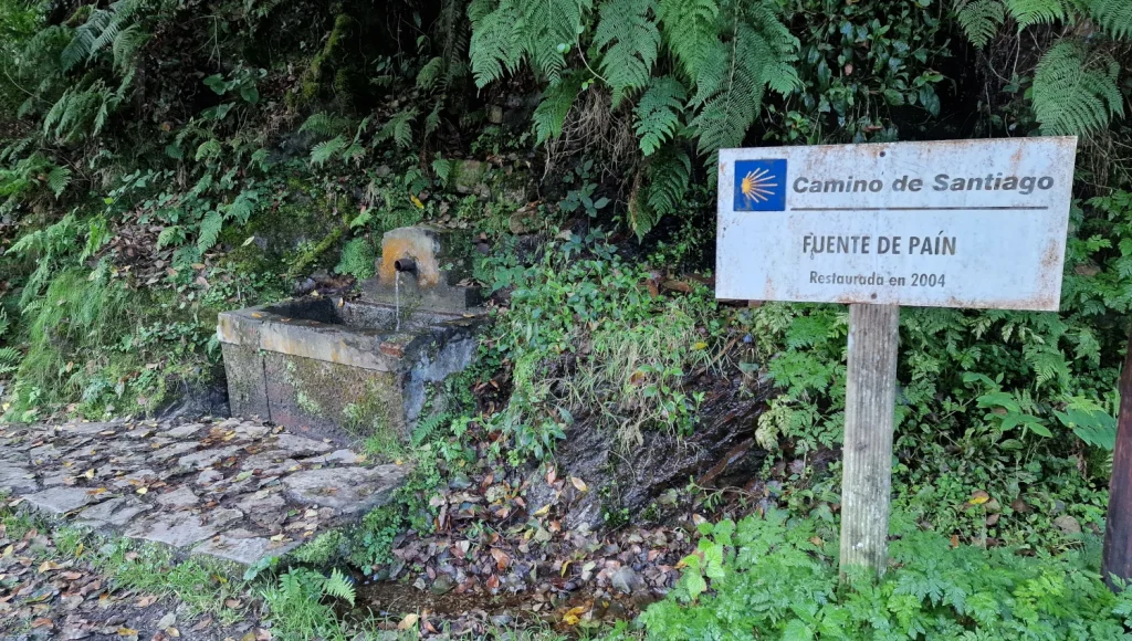 Ruta-cascada-del-Nonaya-Salas