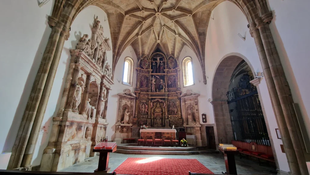 Colegiata-de-Santa-María-la-Mayor-Salas