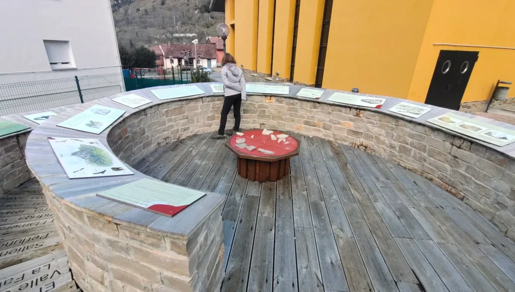 Estructura-flora-y-fauna-Pola-de-Somiedo