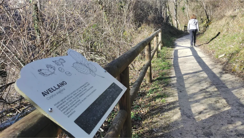 Senda-accesible-Pola-de-Somiedo