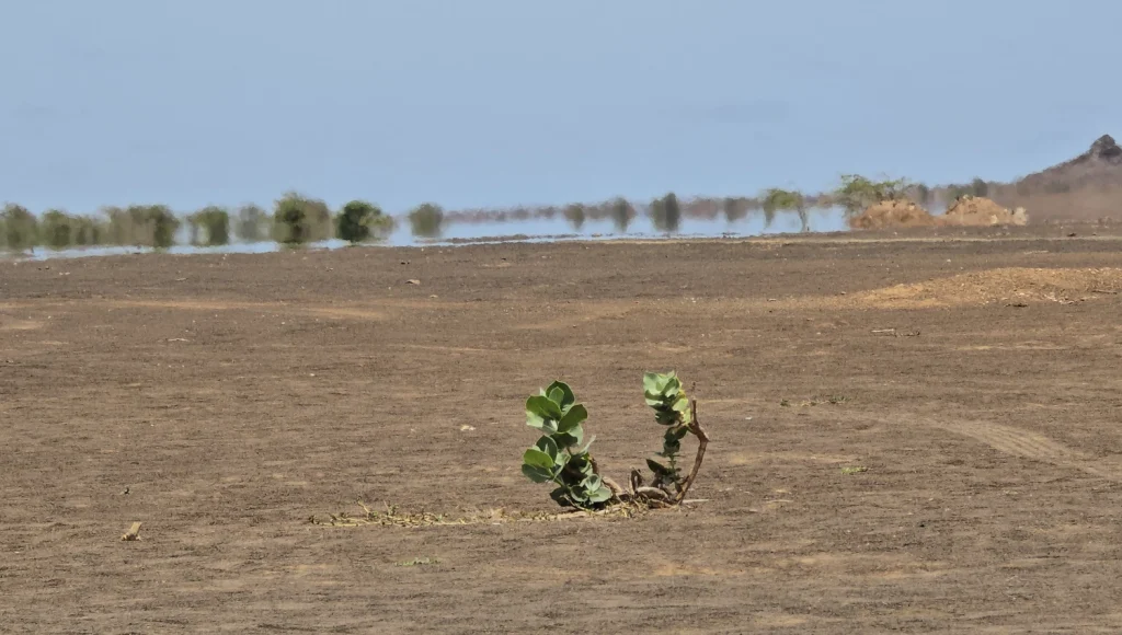 Desierto-de-Terra-Boa-Isla-de-Sal