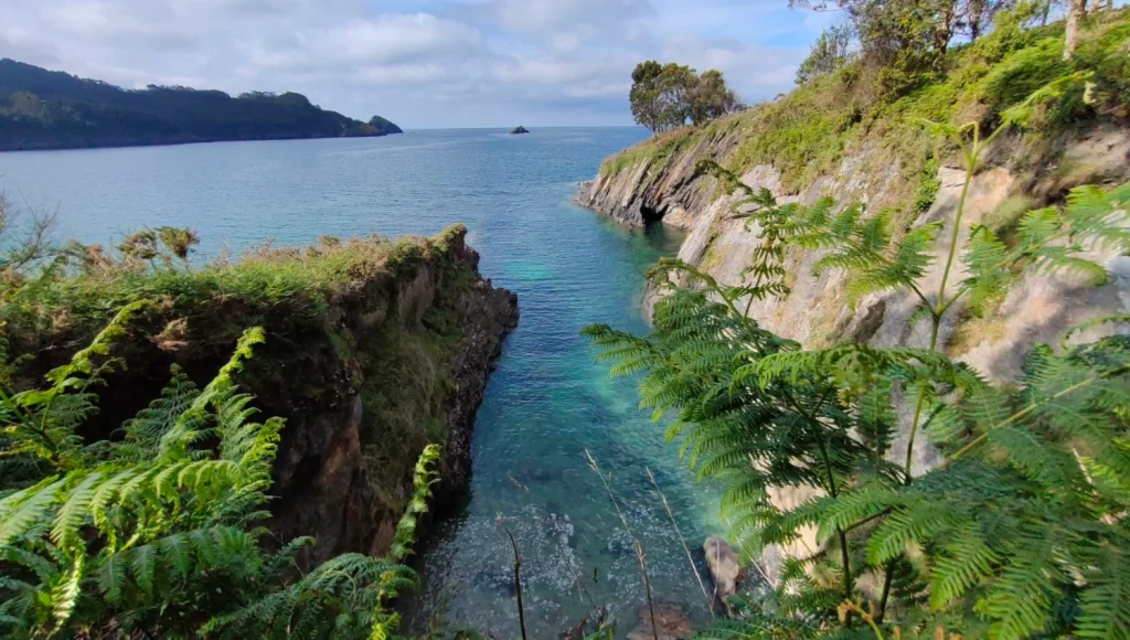 Punta-da-Insúa-Viveiro