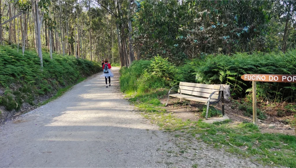 Ruta-punta-fuciño-do-porco-Viveiro