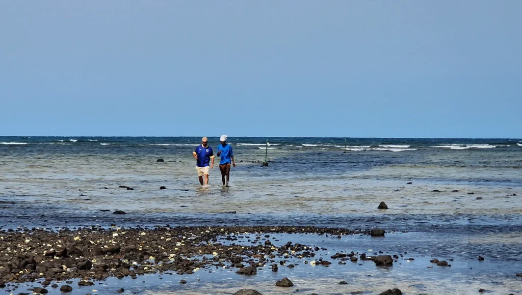 Shark-Bay-Isla-de-Sal