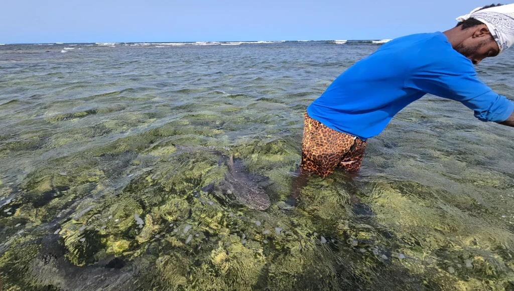 Shark-Bay-Isla-de-Sal