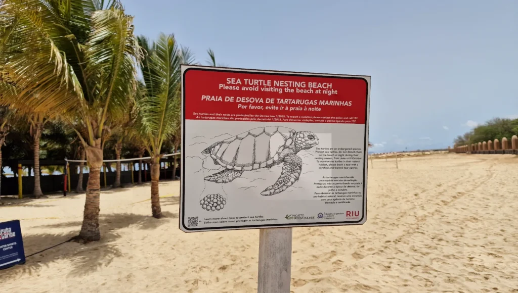 Zona-protegida-tortugas-Isla-de-Sal