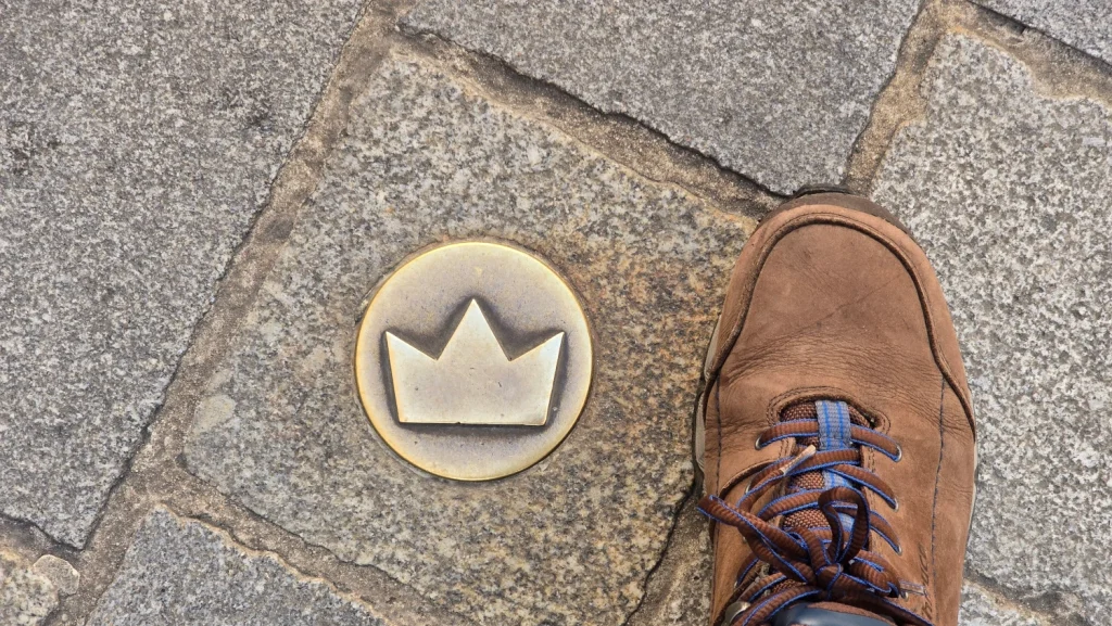 Coronas-suelo-Bratislava