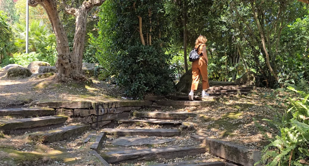 Jardín-Botánico-Parque-de-les-Conserveres