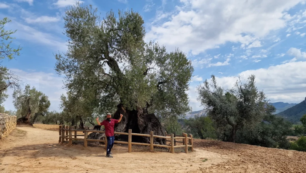 Lo-Paró-Horta-de-Sant-Joan