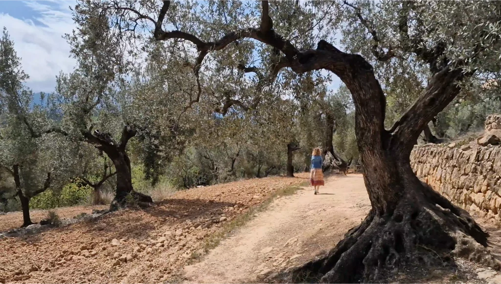 Lo-Parot-Horta-de-Sant-Joan