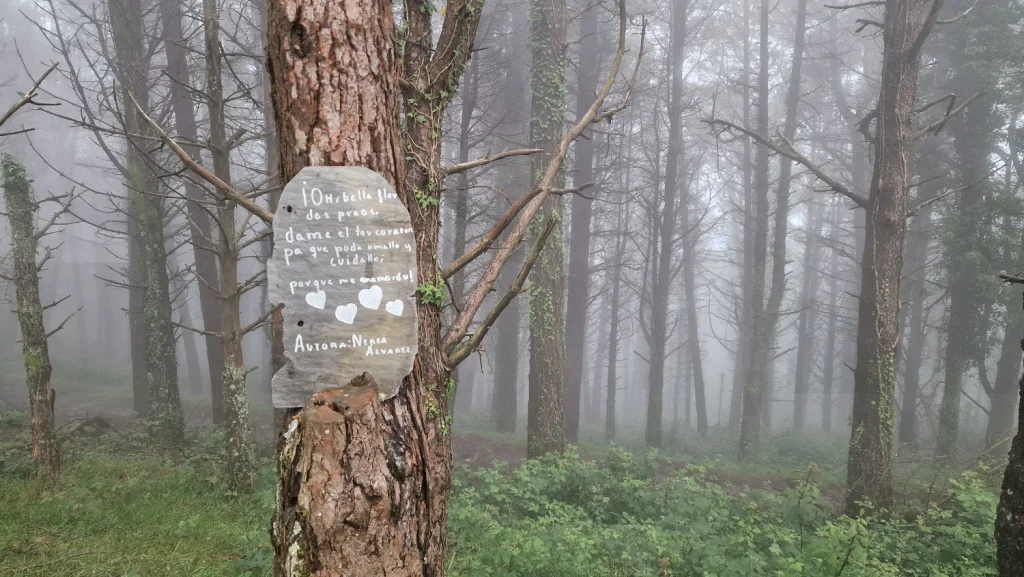 Alto-de-Penouta-Boal