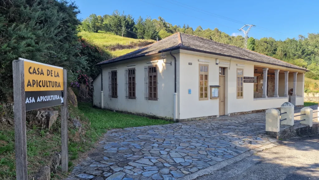 Casa-de-la-apicultura-Boal