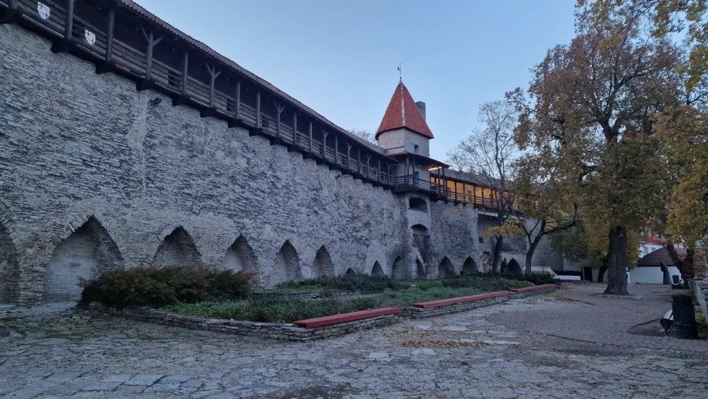 Jardín-del-Rey-Danés-Tallin
