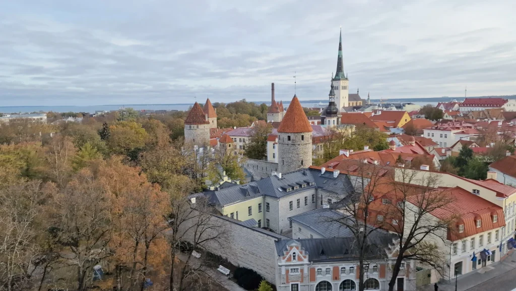 Mirador-de-Patkuli-Tallin