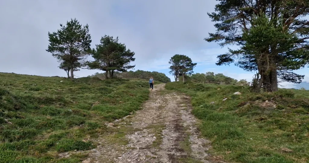 Pista-forestal-Alto-de-Penouta-Boal